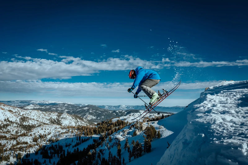 Welcome to ShredShox