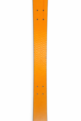 ShredShox Tahoe Orange : Full Suspension Ski Platform view 8